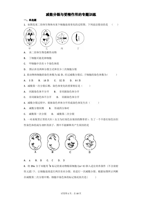 减数分裂与受精作用的专题训练