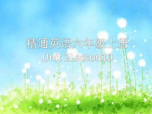 人教精通英语六年级上册Unit 2What’s your hobby(Lesson 10)课件ppt