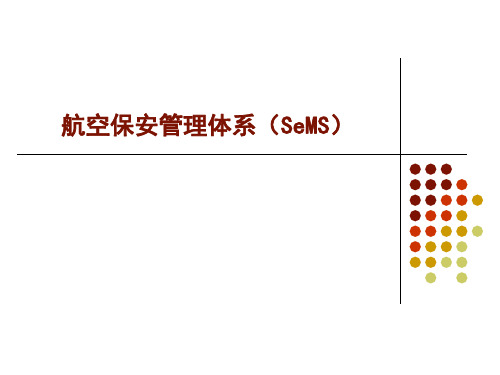 航空安保管理体系(SeMS)建设