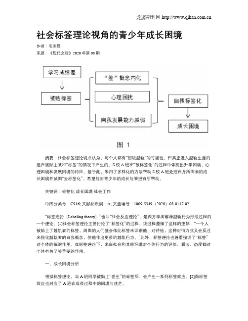 社会标签理论视角的青少年成长困境