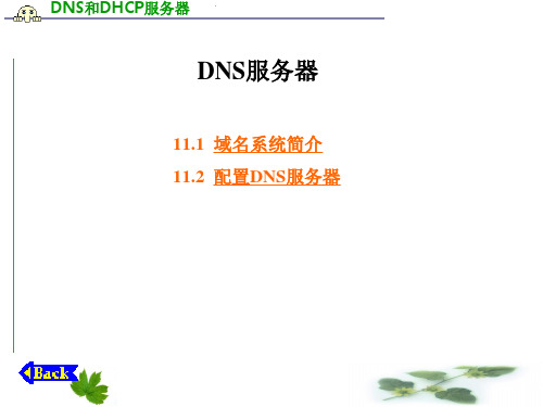 DNS服务器的配置与管理