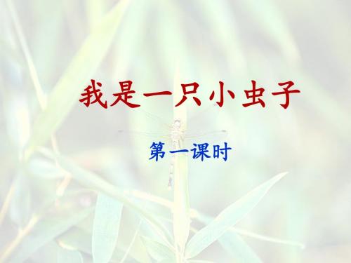 部编版人教教二年级语文下册《我是一只小虫子》名师课件(第一课时)