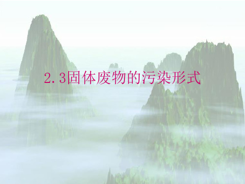 环境岩土工程学课件-东南大学-潘华良-2-2固体废物的污染形式-精品文档