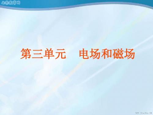 2012届高考物理第二轮专题复习方案课件电场和磁(精)