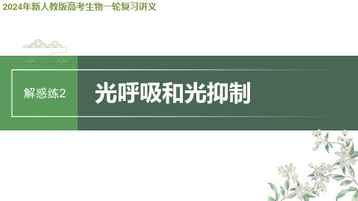 2024年新人教版高考生物一轮复习讲义  第3单元 解惑练2 光呼吸和光抑制