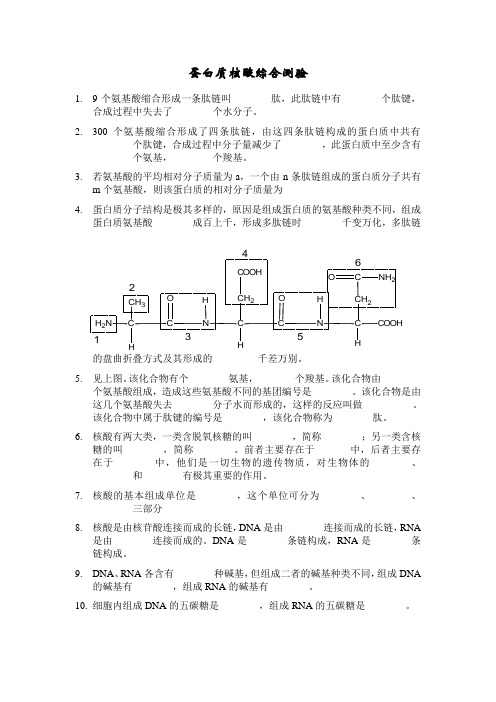 第二章2.3节蛋白质核酸习题