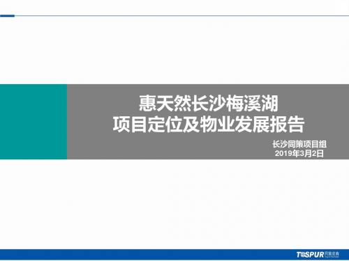 同策2019惠天然长沙梅溪湖的项目定位及物业发展的报告183P