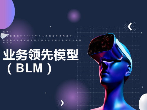 业务领先模型(BLM模型)-华为引入的年度规划思路