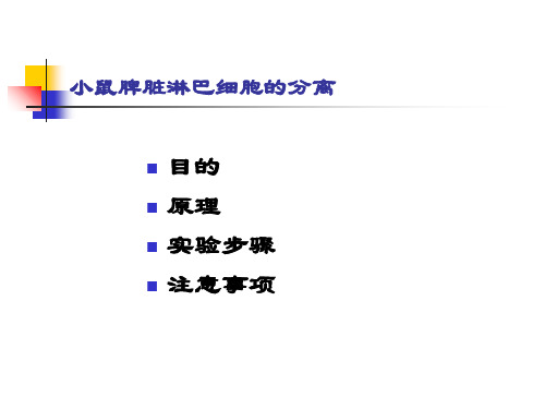 实验二淋巴细胞分离实验