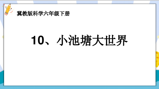 最新冀教版六年级科学下册《小池塘大世界》(第1课时)精品课件