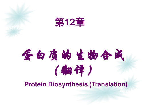 第12章蛋白质生物合成资料