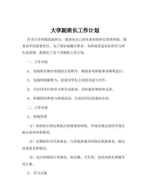 大学副班长工作计划