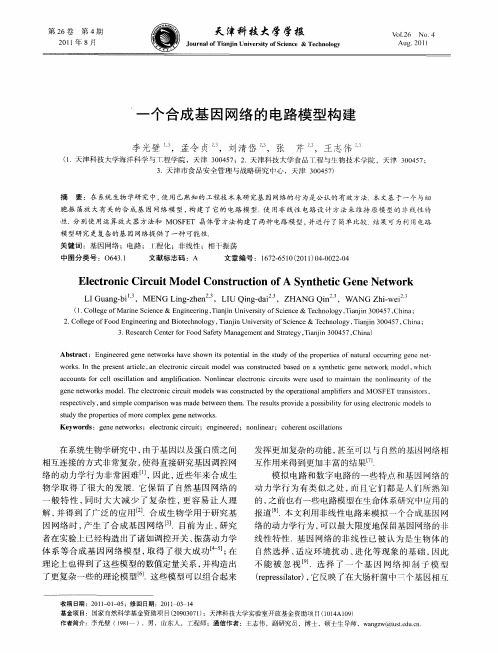 一个合成基因网络的电路模型构建