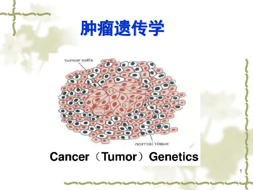 医学遗传学-肿瘤遗传学