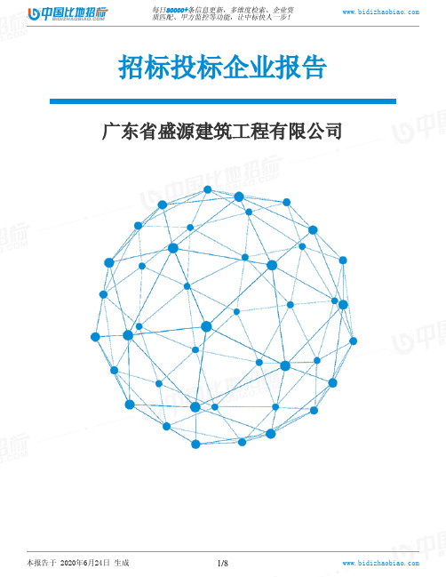 广东省盛源建筑工程有限公司-招投标数据分析报告