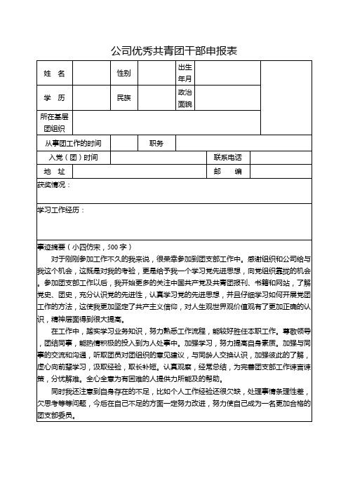 公司优秀共青团干部申报表