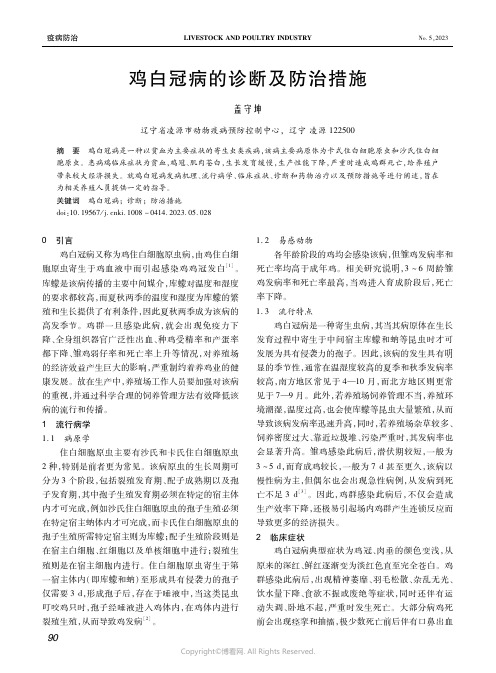 鸡白冠病的诊断及防治措施