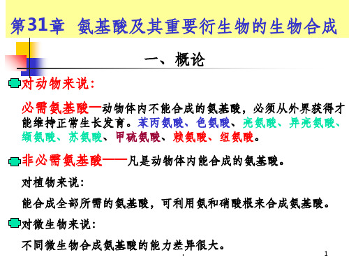 氨基酸的生物合成ppt课件