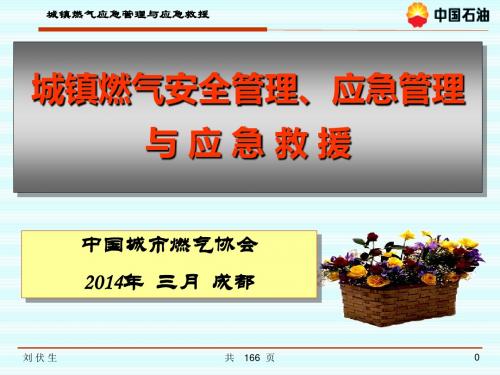 城镇燃气安全管理、应急管理与应急救援会议讲学(ppt 166页)