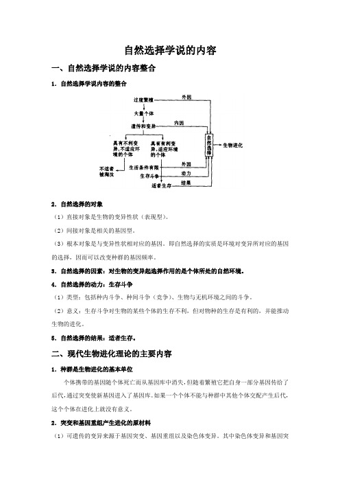 自然选择学说的内容