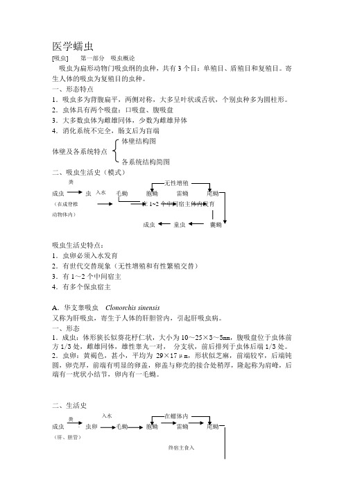 医学蠕虫