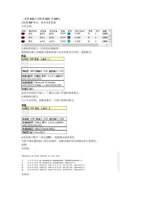 rip实验报告