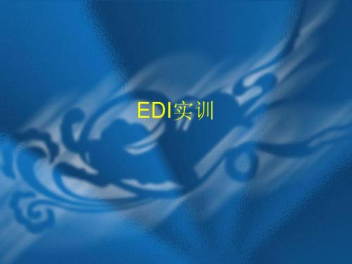 EDI实训