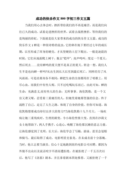 成功的快乐作文800字初三作文五篇