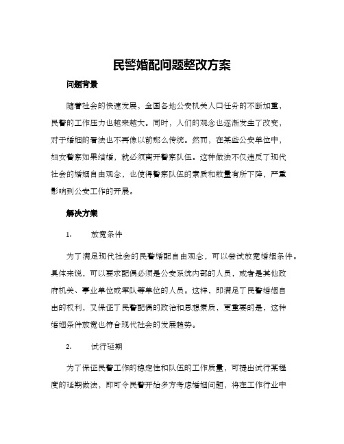 民警婚配问题整改方案