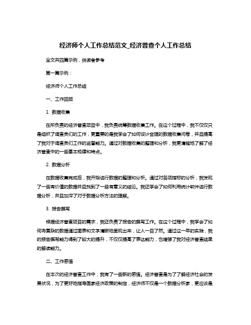 经济师个人工作总结范文_经济普查个人工作总结