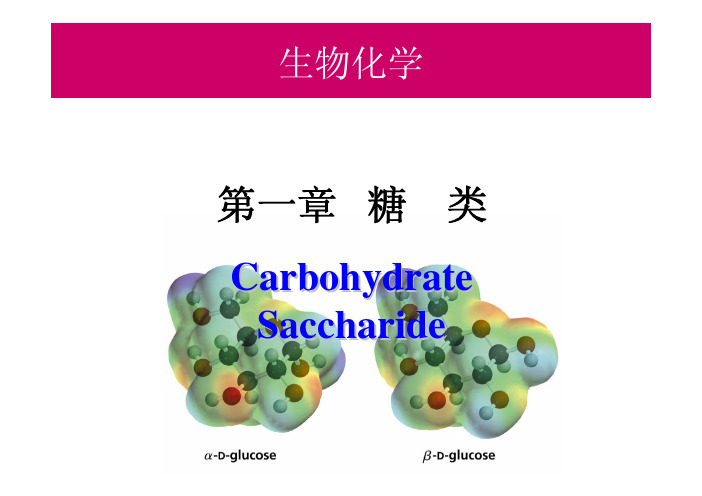 山东大学生物化学精品课程 01-1 Carbohydrate