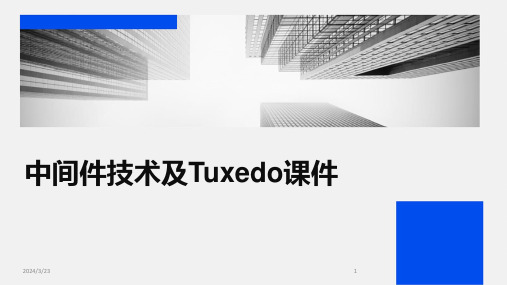 2024年度中间件技术及Tuxedo课件