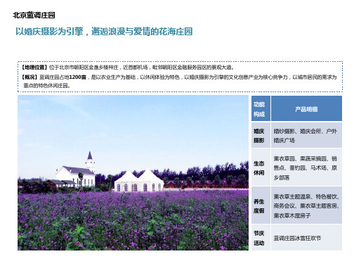 2020北京蓝调庄园案例详解