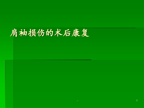 肩袖损伤的术后康复ppt课件