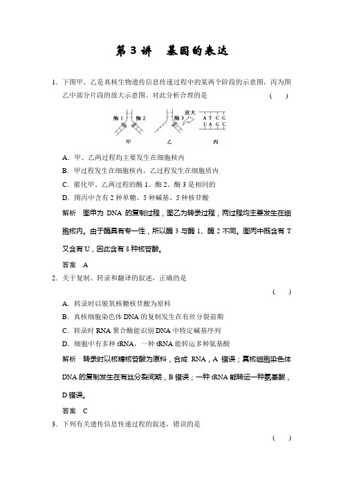 2015届高考生物(人教版通用)一轮总复习配套题库：必修2第2单元第3讲 基因的表达(解析) Word版含解析