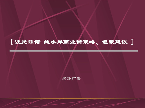 深圳黑弧-波托菲诺纯水岸商业街策略包装建议 