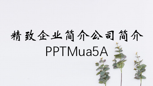 精致企业简介公司简介PPTMua5A