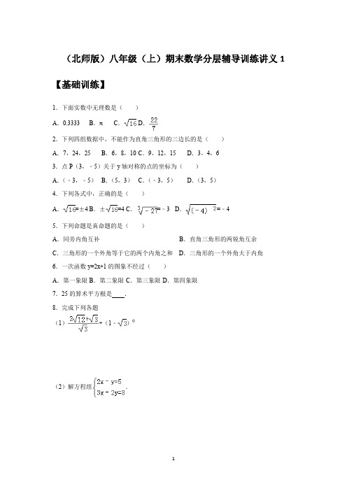 (北师版)八年级(上)期末数学分层辅导训练讲义1