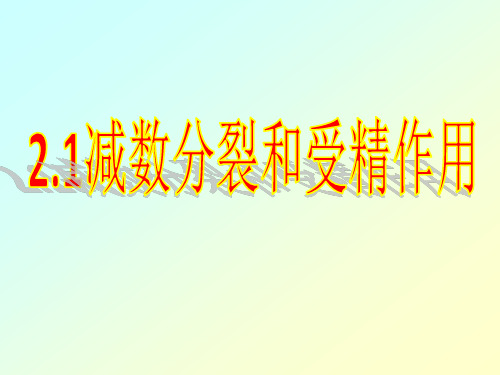 2.1减数分裂和受精作用
