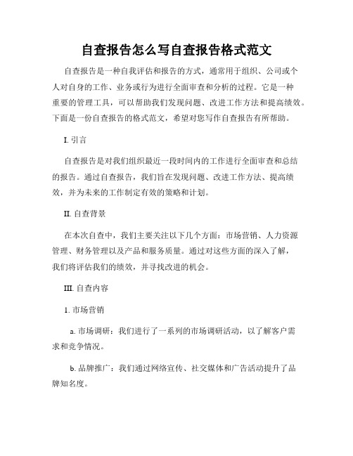 自查报告怎么写自查报告格式范文