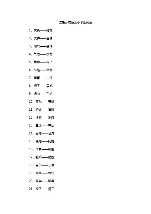 谁是卧底适合小学生词语