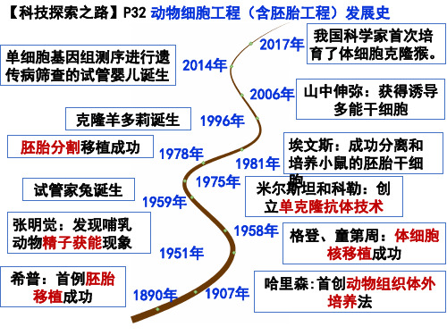 2.2动物细胞工程课件2021-2022学年高二下学期生物人教版选择性必修3