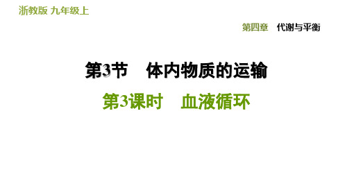 4.3.3 血液循环—2020秋浙教版九年级科学上册习题课件(共30张PPT)