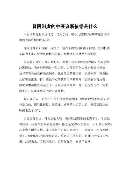 肾阴阳虚的中医诊断依据是什么