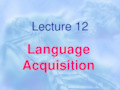 《当代语言学导论》课件 chapter 12