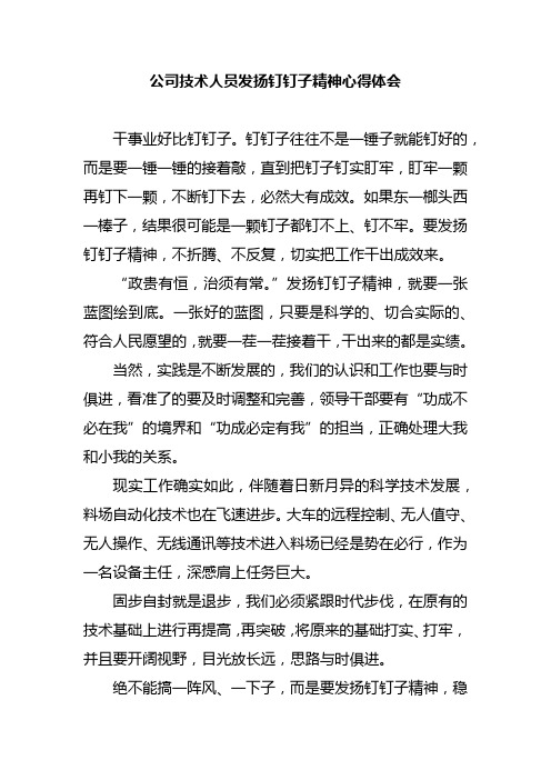 公司技术人员发扬钉钉子精神心得体会