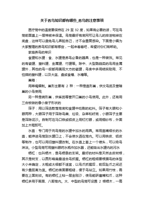 关于养鸟知识都有哪些_养鸟的注意事项