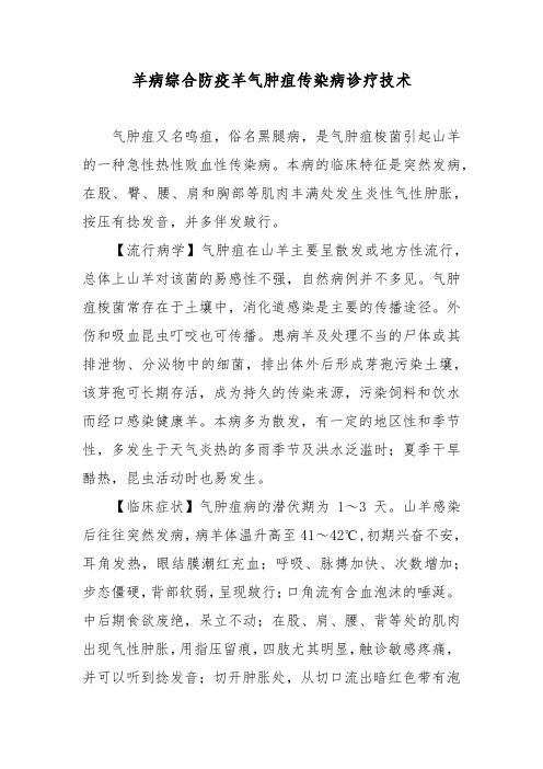 羊病综合防疫羊气肿疽传染病诊疗技术