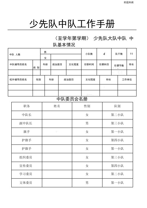 中心小学中队工作手册及总结归纳