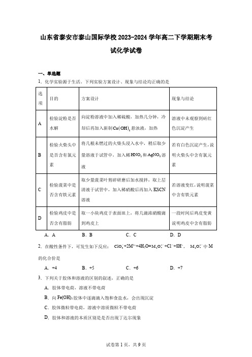 山东省泰安市泰山国际学校2023-2024学年高二下学期期末考试化学试卷